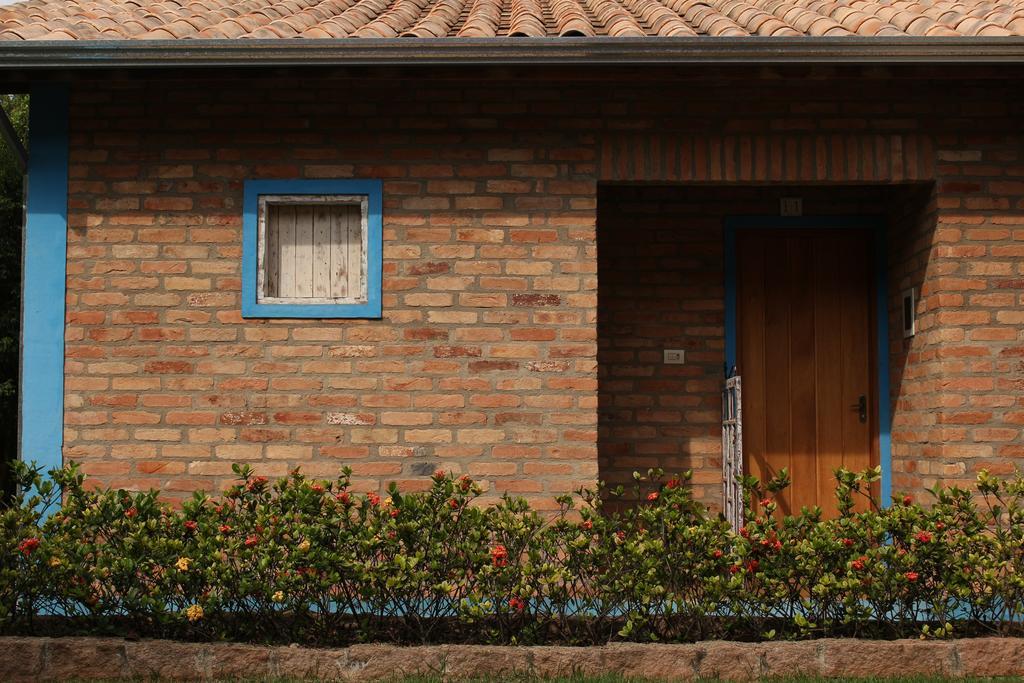 Double Room with Patio,377751445:JPEG
